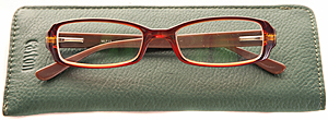 Slip in Glasses case